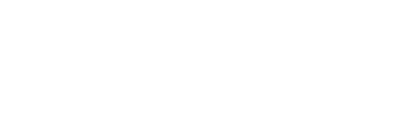 Horizontal logo, white